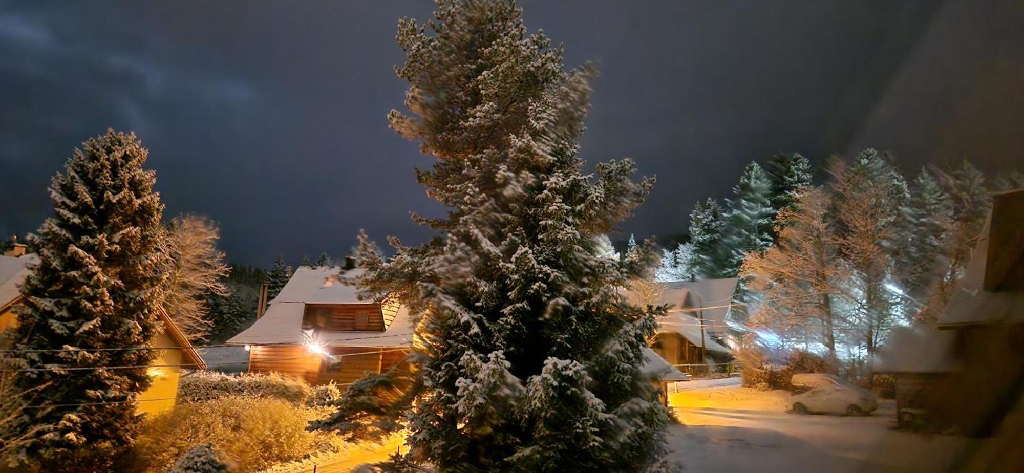 זקופאנה Pokoje Apartamenty Pod Limba מראה חיצוני תמונה